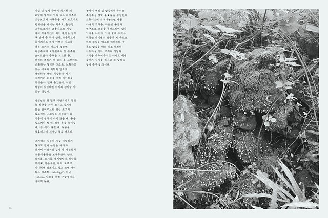 Gravity toward the Island