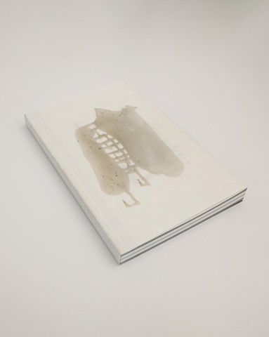 [NEW BOOK] 『태양의 자리 Solar Grounds: Rehearsals, Essays, and Residues』  
