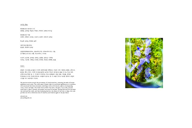 Gravity toward the Island