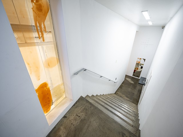 태양의 자리 Solar Grounds 