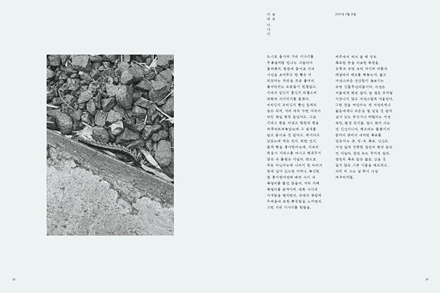 Gravity toward the Island