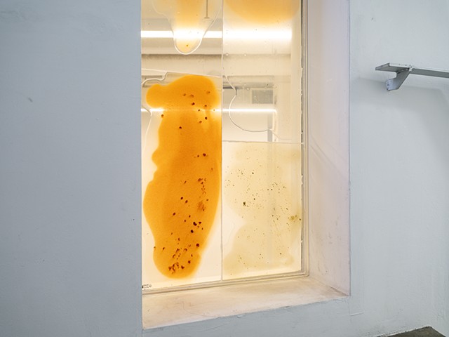 적녹백 Chromatic Personae