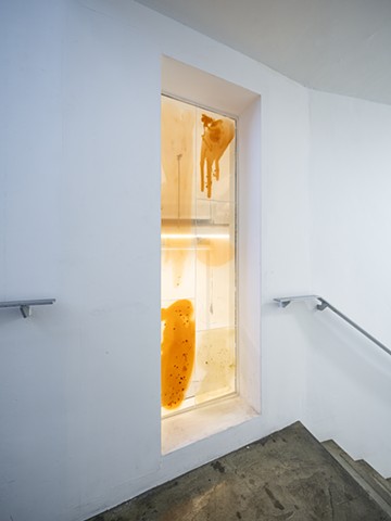 적녹백 Chromatic Personae