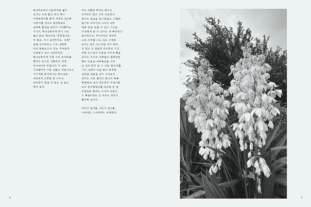 Gravity toward the Island