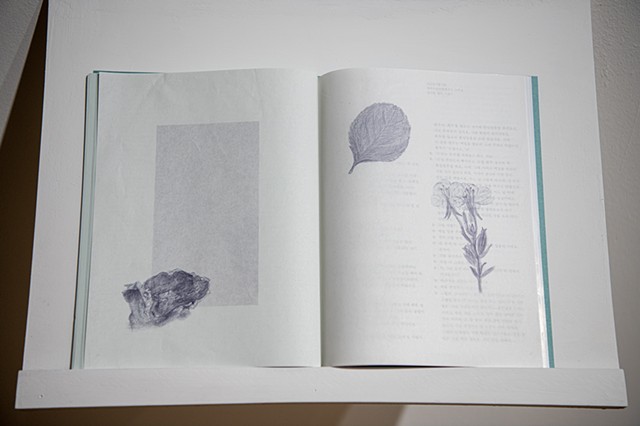 Gravity toward the Island