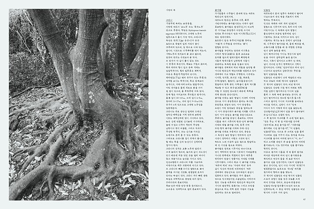 Gravity toward the Island