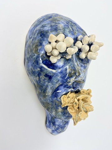 Mush Head2