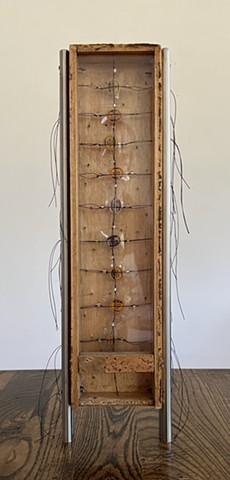 Crystal Spine
