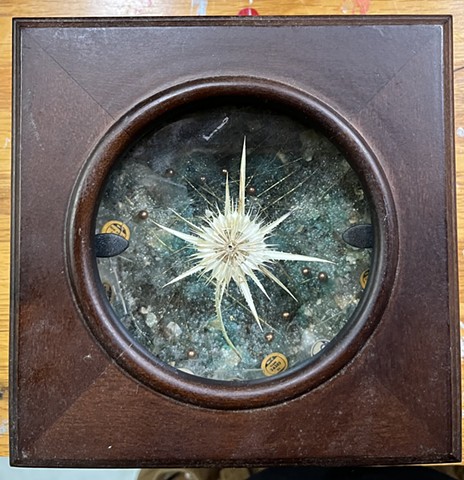 Mariner's Compass