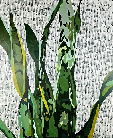 Snake Plant, Attunement