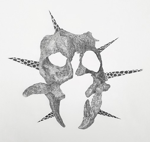 facial recognition image with bones.