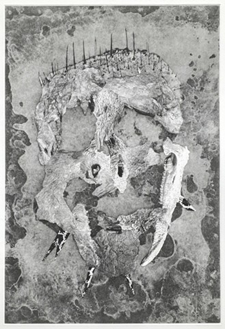 Facial reconition image with bones.