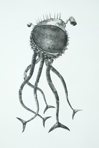 Crinoid Drone.