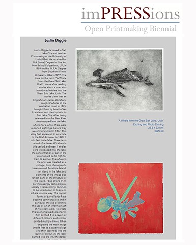 imPRESSions Open Printmaking Biennial. Ireland.