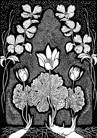 Botanical drawing of North Carolina Native Plants Bloodroot and Flowering Dogwood, For Penland School of Crafts