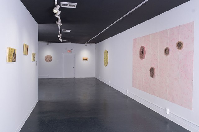 Cruising the Undergrowth (installation view)