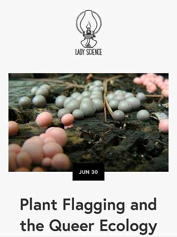 Plant Flagging and The Queer Ecology Hanky Project