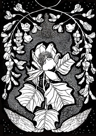 Botanical drawing of North Carolina Native Plants Tulip Poplar and Black Locust, For Penland School of Crafts