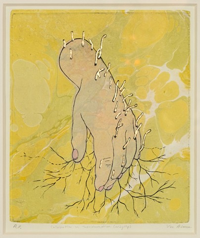 Collaborators in Transformation: Cordyceps II