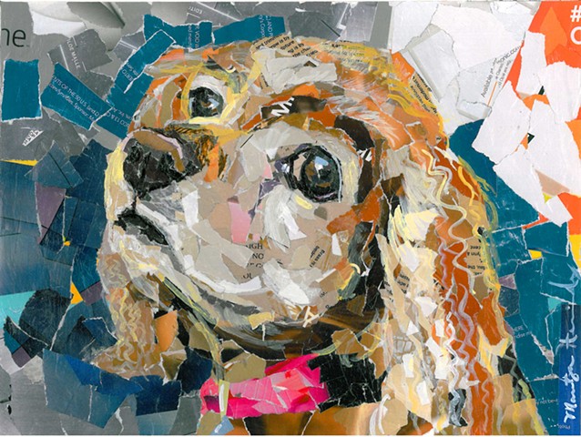 Bella- Sold