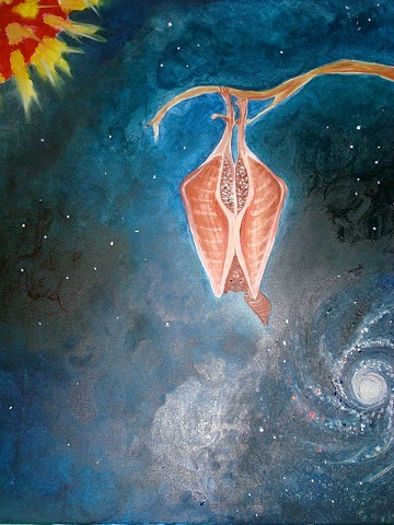 liminal