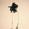 hanging thing