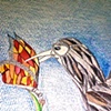 as a bird