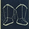 shamanic paraphenalia