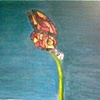 as a butterfly