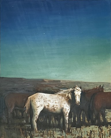 Mongolian Ponies at Last Light on the Steppe