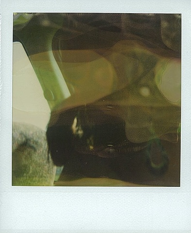 Benjamin Lee Sperry / Polaroid 