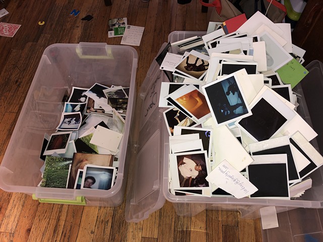 Polaroids - sorting 