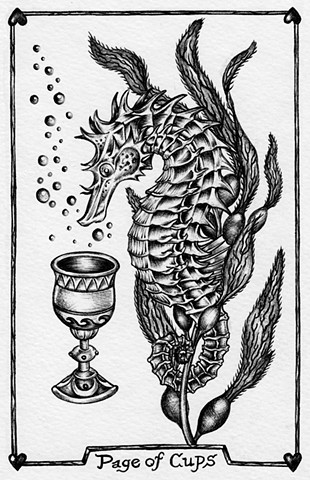 page of cups, seahorse tarot, gray tarot, leta gray, water, suit of cups