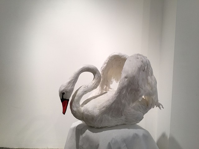 Swans created for Store Window