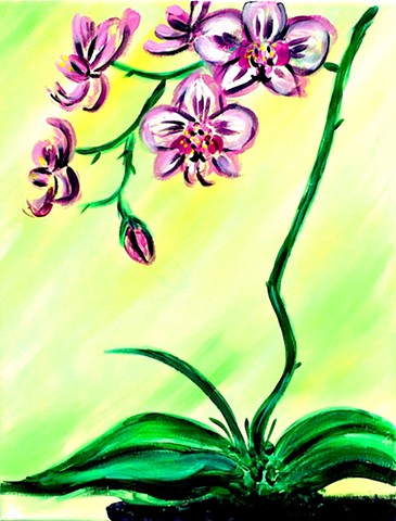 "Orchid"