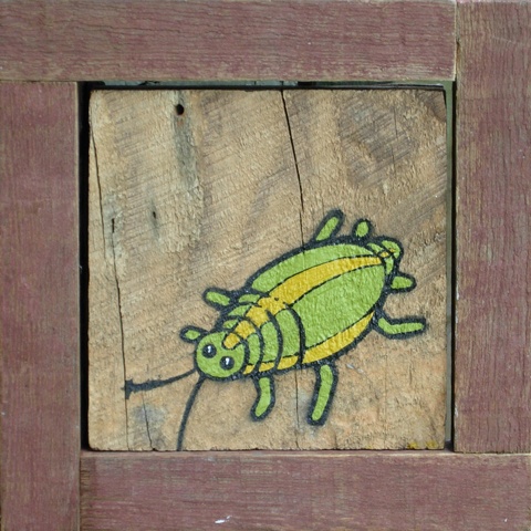 Barn Bug