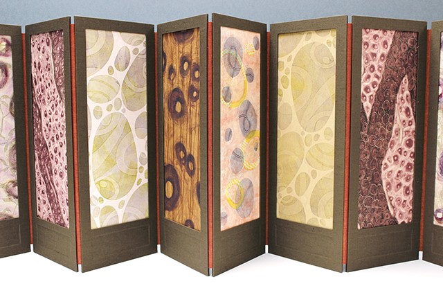 Proliferation is an accordion-style structure and inspired by both William Morris's screens and microscopic images of cells. Each panel is constructed of two cloth covered panels, one with a window and the other serves as substrate to a mixed media print,