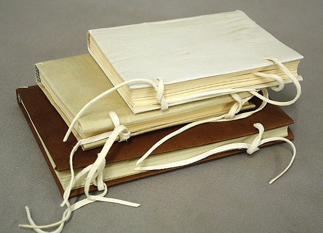 Various parchment bindings