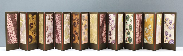 Proliferation is an accordion-style structure and inspired by both William Morris's screens and microscopic images of cells. Each panel is constructed of two cloth covered panels, one with a window and the other serves as substrate to a mixed media print,