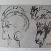Nubian Ibex Sketches