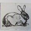 Listning Rabbit