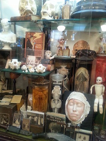 Visiting Obscura Oddities and Antiques in NYC