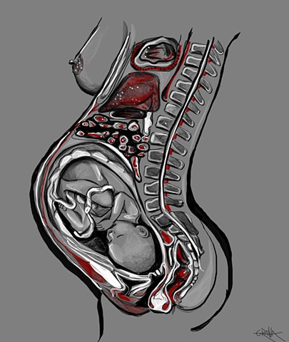 Anatomy of Pregnant Woman