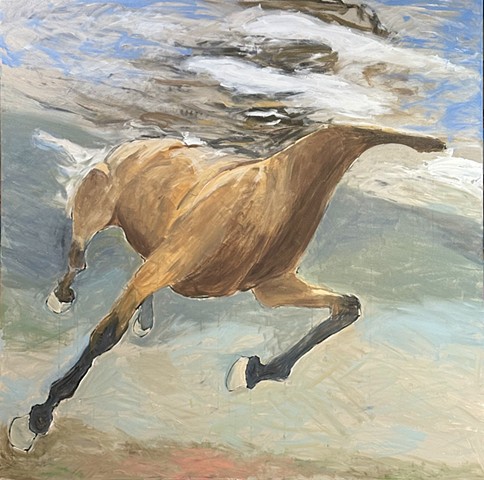 Swimming Horse