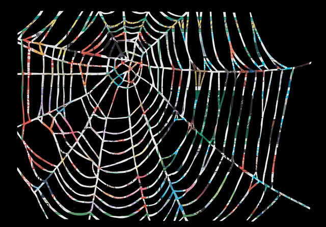 Spiderwebs I