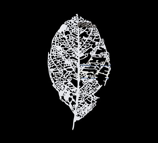 Leaf Skeleton V