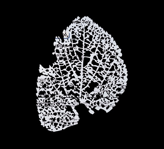 Leaf Skeleton II