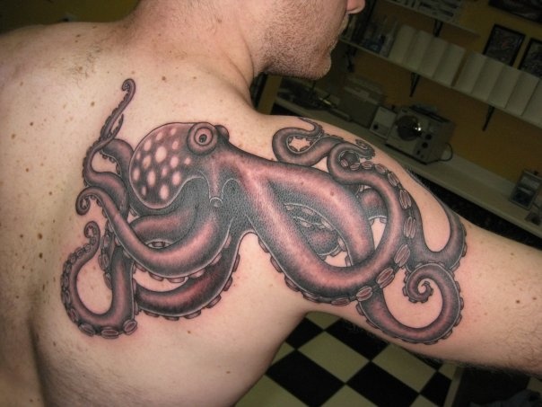 Octopus-2