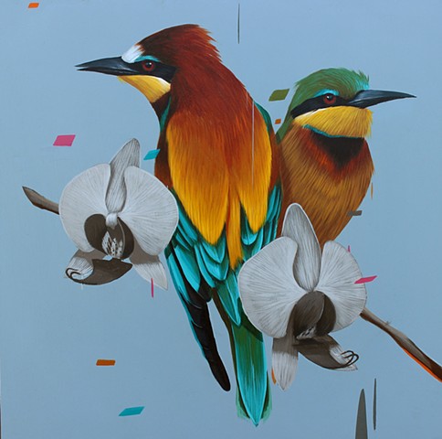 Bee Eaters and Orchids