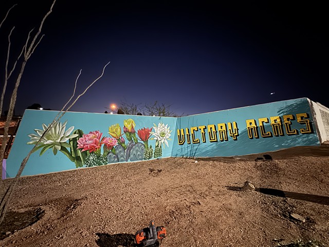 Victory Acres neighborhood Overpass, Tempe AZ